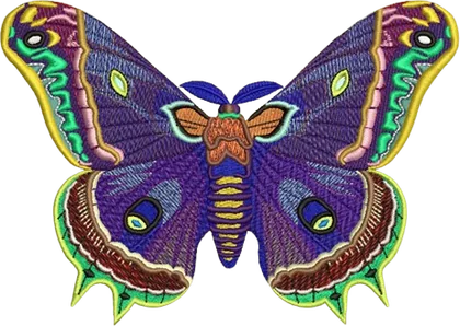 Embroidery digitizing sample